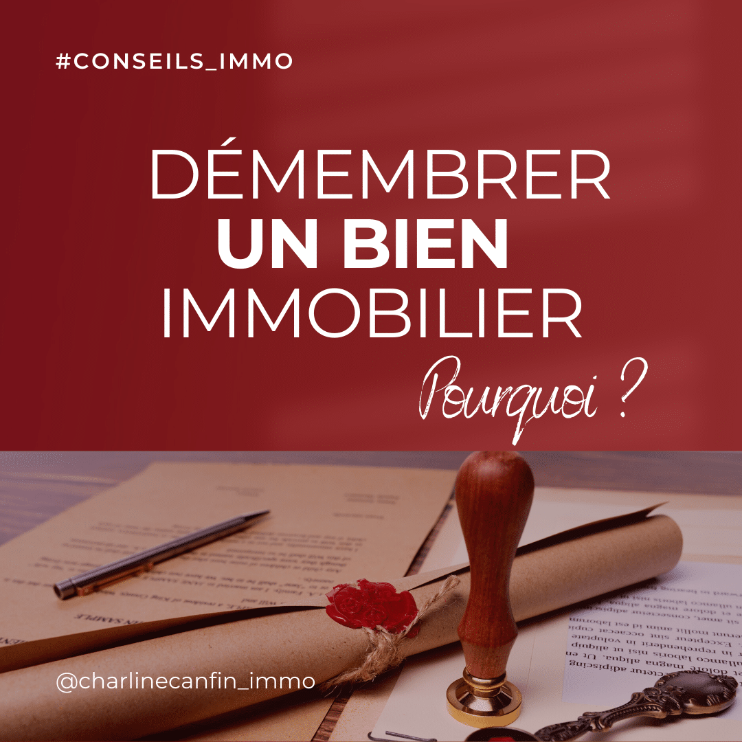 Pourquoi Démembrer un Bien Immobilier ?